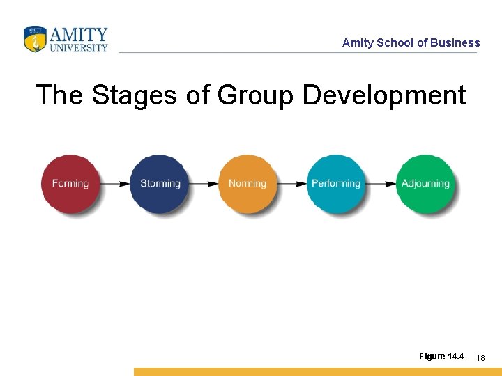 Amity School of Business The Stages of Group Development Figure 14. 4 18 