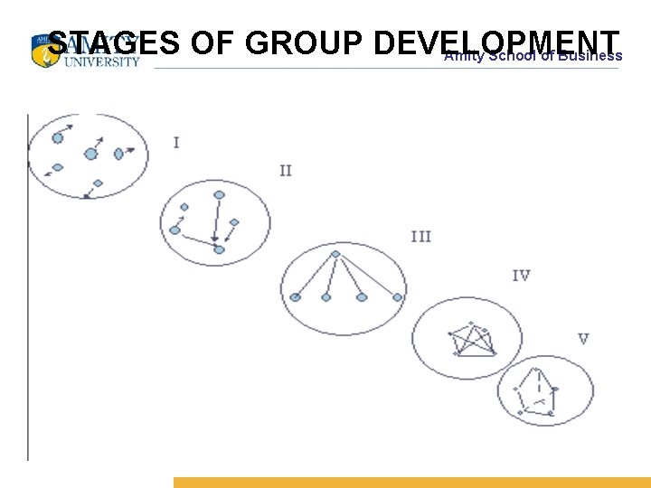 STAGES OF GROUP DEVELOPMENT Amity School of Business 