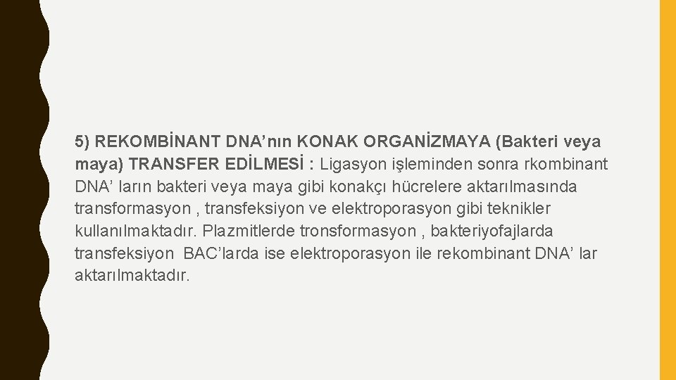 5) REKOMBİNANT DNA’nın KONAK ORGANİZMAYA (Bakteri veya maya) TRANSFER EDİLMESİ : Ligasyon işleminden sonra