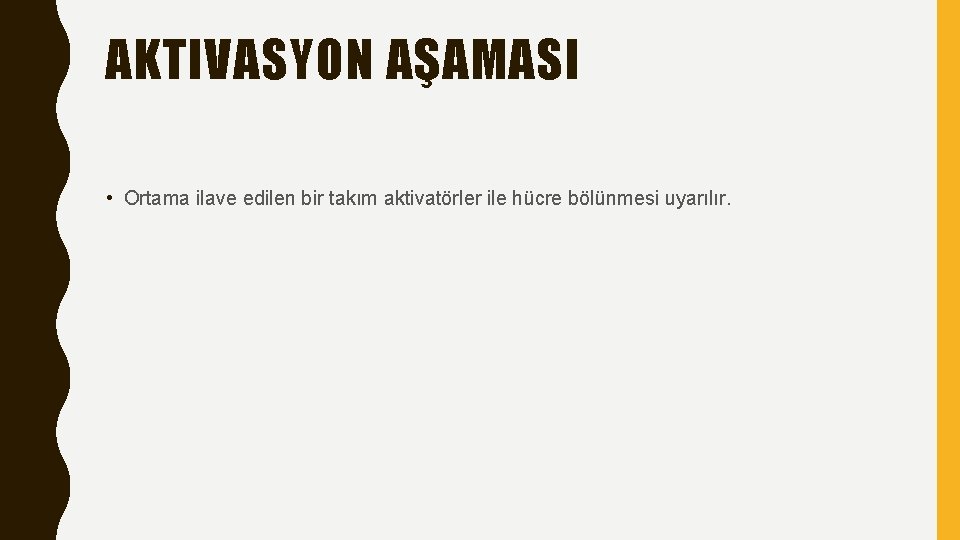 AKTIVASYON AŞAMASI • Ortama ilave edilen bir takım aktivatörler ile hücre bölünmesi uyarılır. 