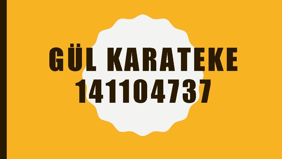 GÜL KARATEKE 141104737 