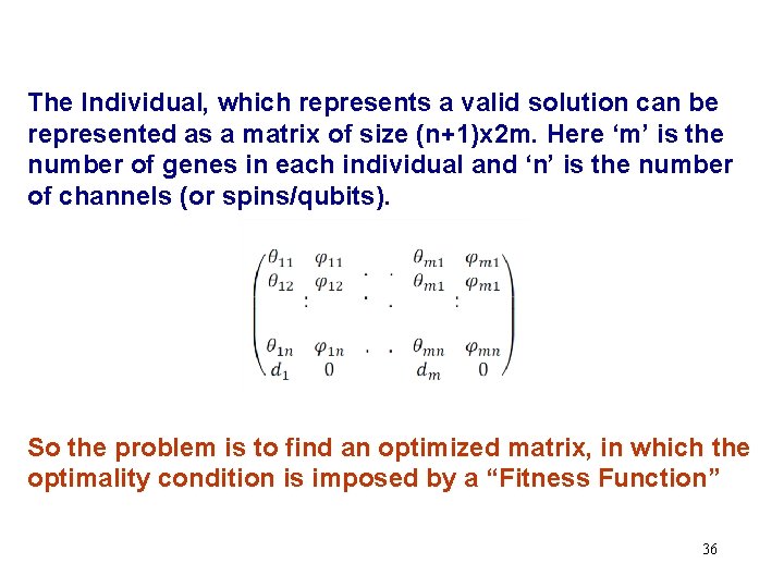The Individual, which represents a valid solution can be represented as a matrix of