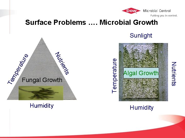 Surface Problems …. Microbial Growth Algal Growth Humidity Nutrients Fungal Growth Temperature Sunlight 