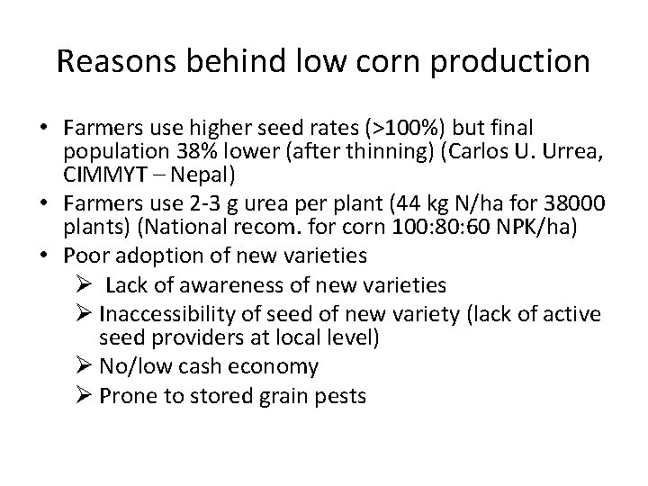 Reasons behind low corn production • Farmers use higher seed rates (>100%) but final
