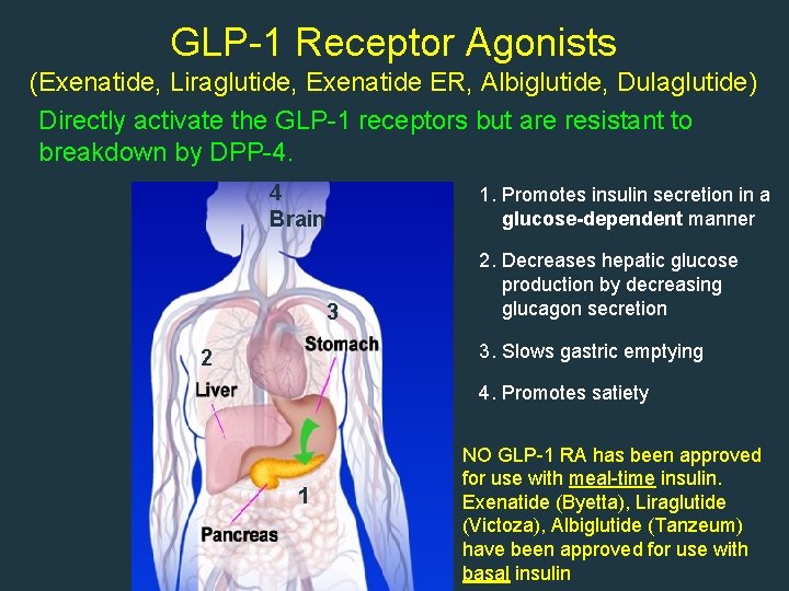 GLP-1 Receptor Agonists (Exenatide, Liraglutide, Exenatide ER, Albiglutide, Dulaglutide) Directly activate the GLP-1 receptors