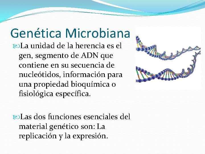 Genética Microbiana La unidad de la herencia es el gen, segmento de ADN que