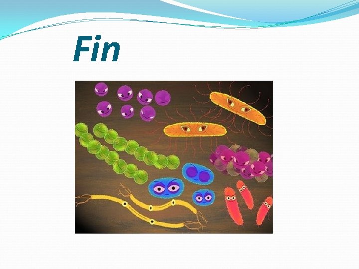 Fin Fin