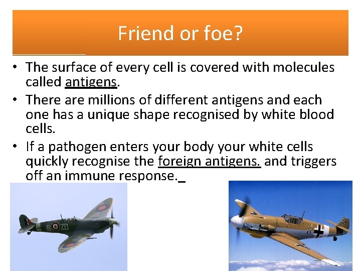 Friend or foe? • The surface of every cell is covered with molecules called