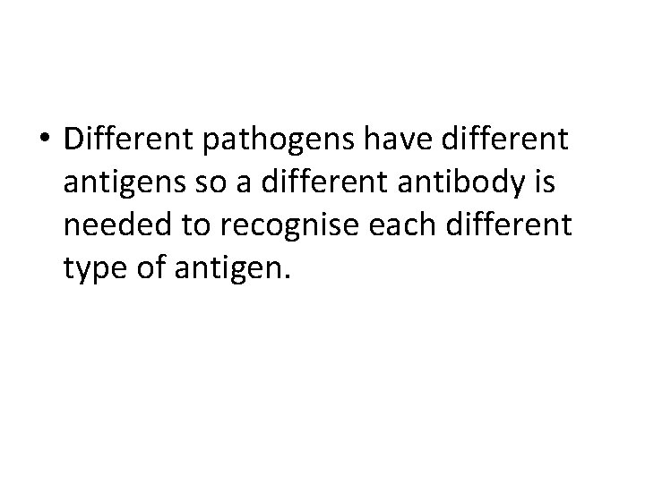  • Different pathogens have different antigens so a different antibody is needed to