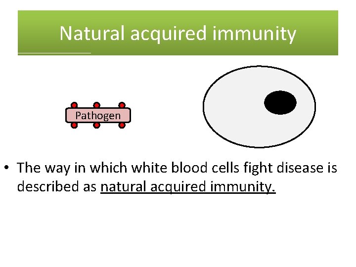 Natural acquired immunity Pathogen • The way in which white blood cells fight disease