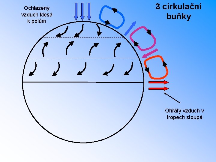 Ochlazený vzduch klesá k pólům 3 cirkulační buňky Ohřátý vzduch v tropech stoupá 