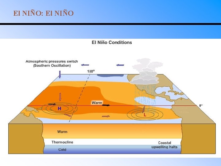 El NIÑO: El NIÑO 