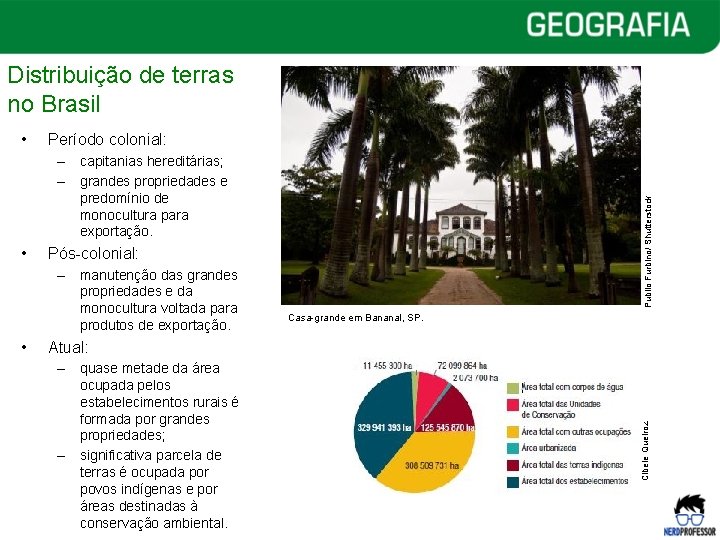 Distribuição de terras no Brasil Período colonial: • Pós-colonial: – manutenção das grandes propriedades