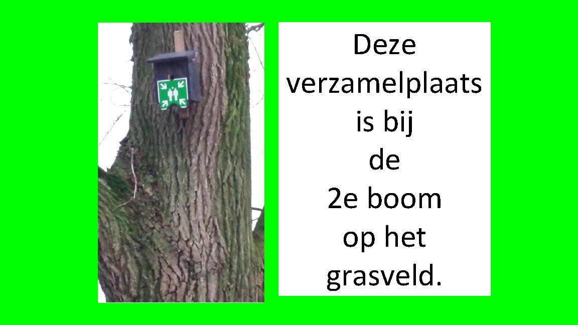 Deze verzamelplaats is bij de 2 e boom op het grasveld. 