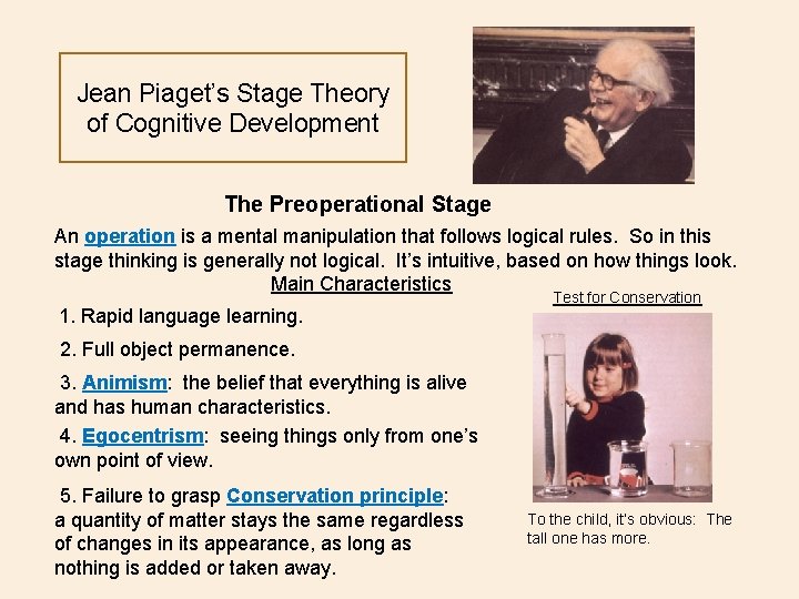 Jean Piaget’s Stage Theory of Cognitive Development The Preoperational Stage An operation is a