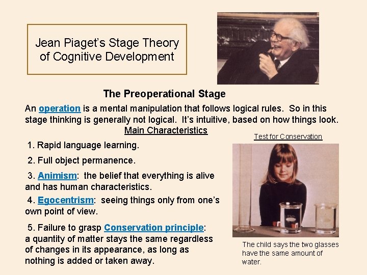 Jean Piaget’s Stage Theory of Cognitive Development The Preoperational Stage An operation is a