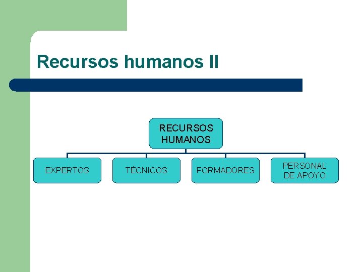 Recursos humanos II RECURSOS HUMANOS EXPERTOS TÉCNICOS FORMADORES PERSONAL DE APOYO 