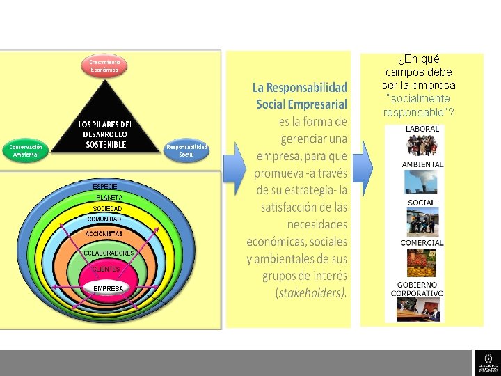 ¿En qué campos debe ser la empresa “socialmente responsable”? 