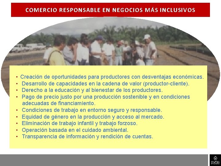 COMERCIO RESPONSABLE EN NEGOCIOS MÁS INCLUSIVOS • • • Creación de oportunidades para productores