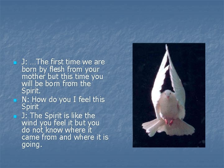 n n n J: …The first time we are born by flesh from your