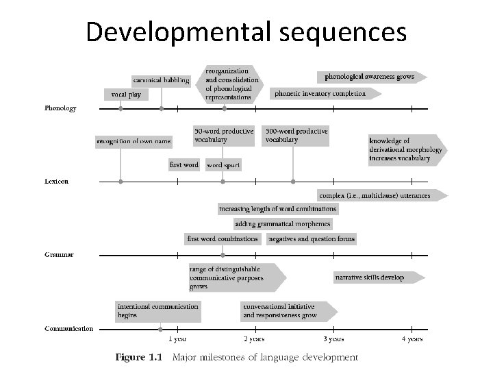 Developmental sequences 