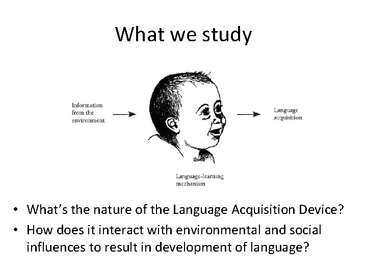 What we study • What’s the nature of the Language Acquisition Device? • How