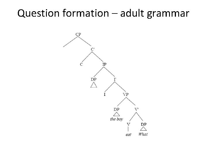 Question formation – adult grammar 