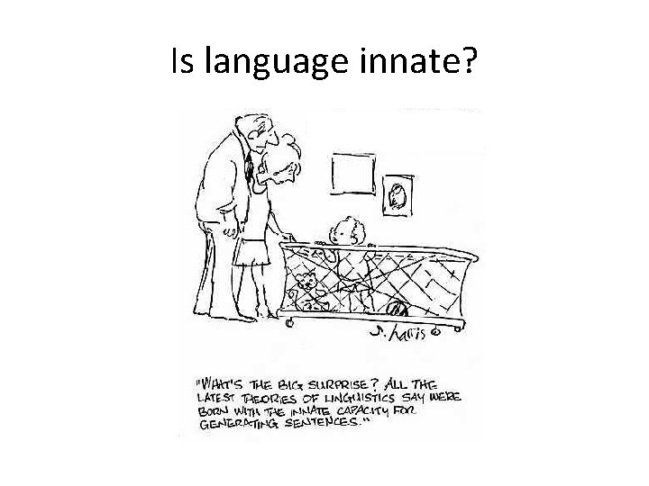 Is language innate? 