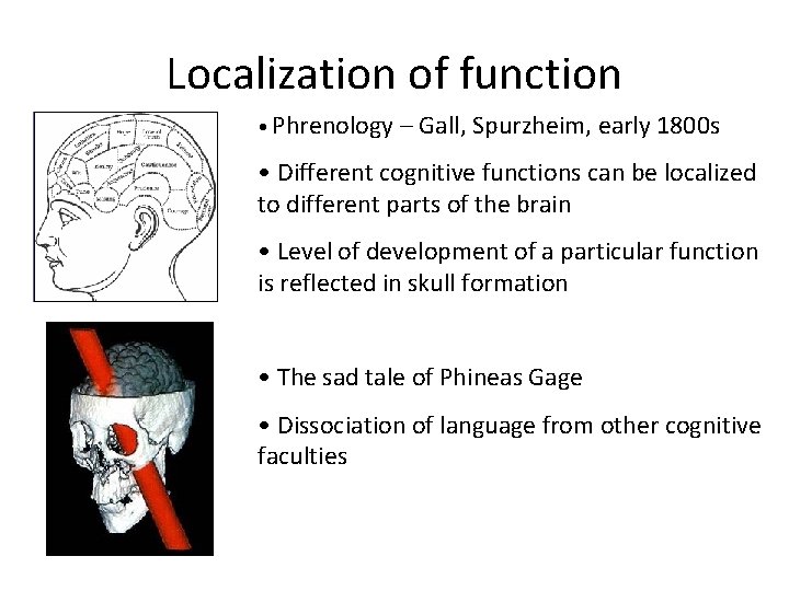 Localization of function • Phrenology – Gall, Spurzheim, early 1800 s • Different cognitive