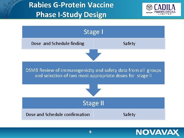 Rabies G-Protein Vaccine Phase I-Study Design Stage I Dose and Schedule finding Safety DSMB