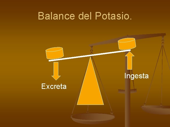 Balance del Potasio. Ingesta Excreta 