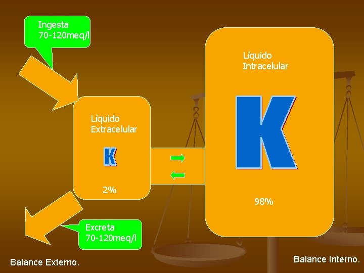 Ingesta 70 -120 meq/l Líquido Intracelular Líquido Extracelular 2% 98% Excreta 70 -120 meq/l