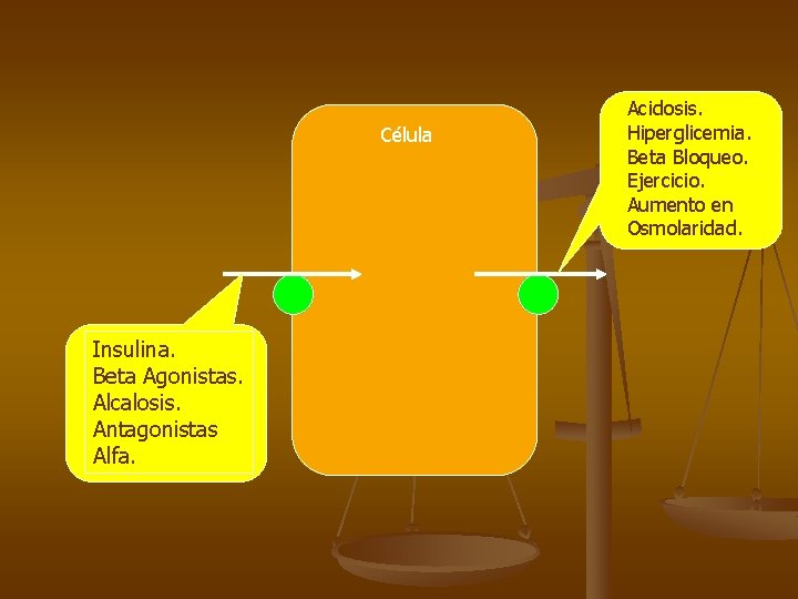 Célula Insulina. Beta Agonistas. Alcalosis. Antagonistas Alfa. Acidosis. Hiperglicemia. Beta Bloqueo. Ejercicio. Aumento en