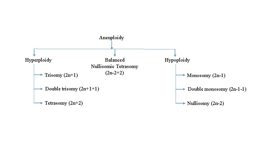 Aneuploidy Hyperploidy Trisomy (2 n+1) Balanced Nullisomic Tetrasomy (2 n-2+2) Hypoploidy Monosomy (2 n-1)