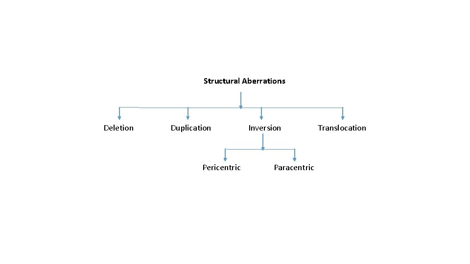 Structural Aberrations Deletion Duplication Pericentric Inversion Paracentric Translocation 