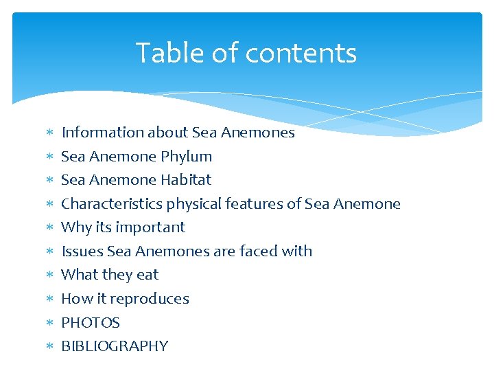 Table of contents Information about Sea Anemones Sea Anemone Phylum Sea Anemone Habitat Characteristics