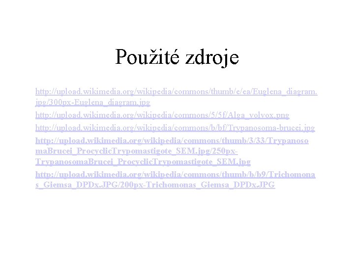 Použité zdroje http: //upload. wikimedia. org/wikipedia/commons/thumb/e/ea/Euglena_diagram. jpg/300 px-Euglena_diagram. jpg http: //upload. wikimedia. org/wikipedia/commons/5/5 f/Alga_volvox.