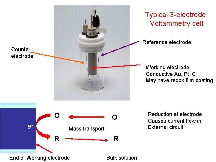 Typical 3 -electrode Voltammetry cell Reference electrode Counter electrode Working electrode Conductive Au, Pt,