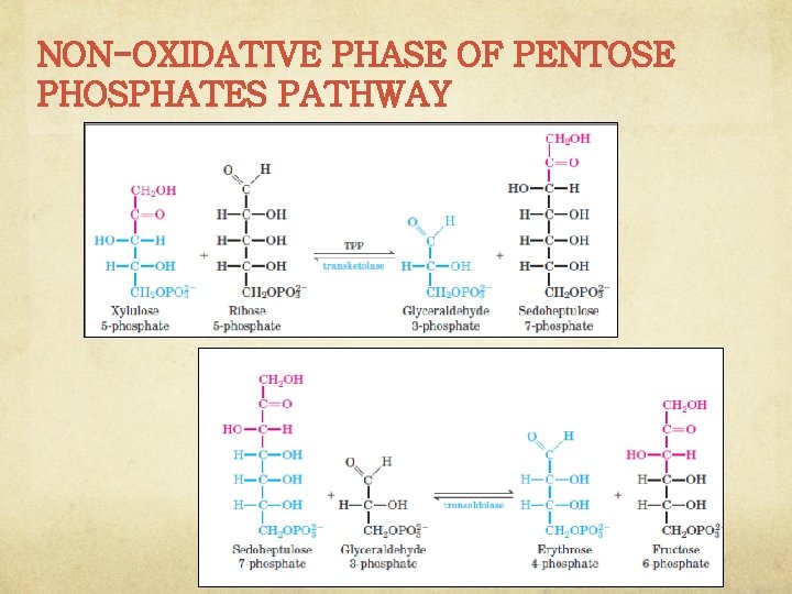 NON-OXIDATIVE PHASE OF PENTOSE PHOSPHATES PATHWAY 