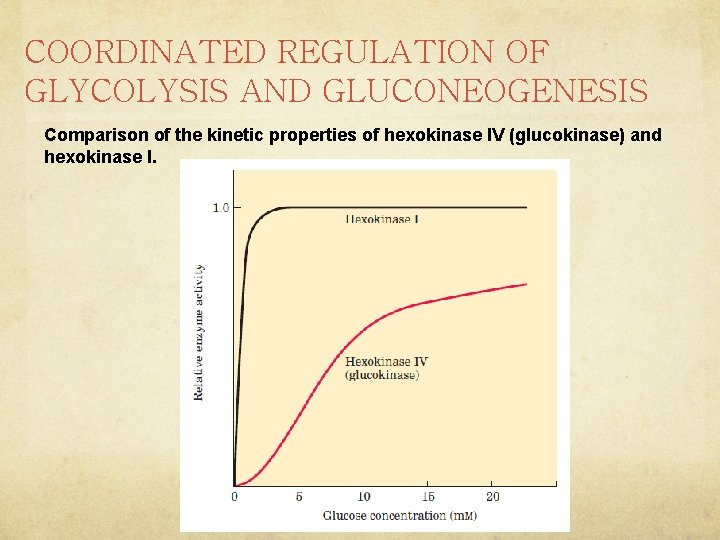 COORDINATED REGULATION OF GLYCOLYSIS AND GLUCONEOGENESIS Comparison of the kinetic properties of hexokinase IV