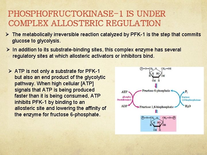 PHOSPHOFRUCTOKINASE-1 IS UNDER COMPLEX ALLOSTERIC REGULATION Ø The metabolically irreversible reaction catalyzed by PFK-1