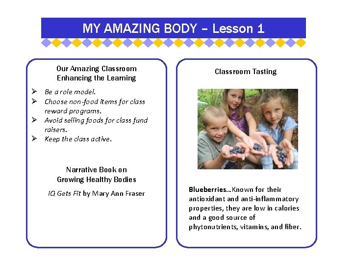 MY AMAZING BODY – Lesson 1 Our Amazing Classroom Enhancing the Learning Classroom Tasting