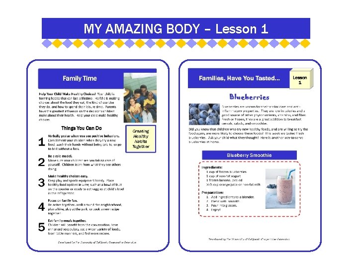 MY AMAZING BODY – Lesson 1 