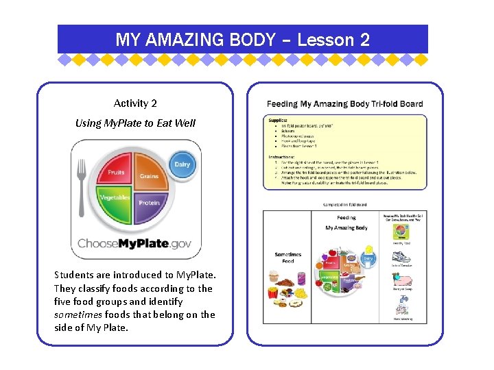 MY AMAZING BODY – Lesson 2 Activity 2 Using My. Plate to Eat Well