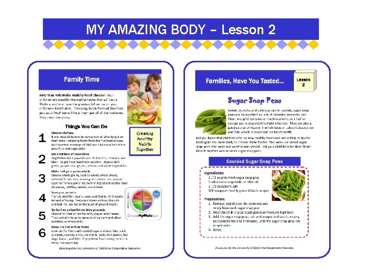 MY AMAZING BODY – Lesson 2 