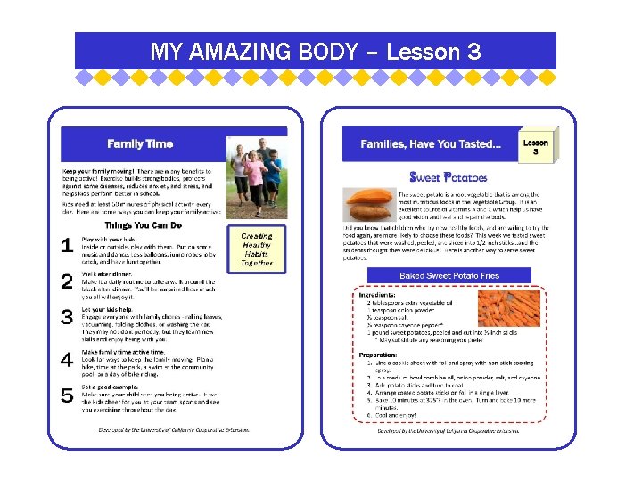MY AMAZING BODY – Lesson 3 