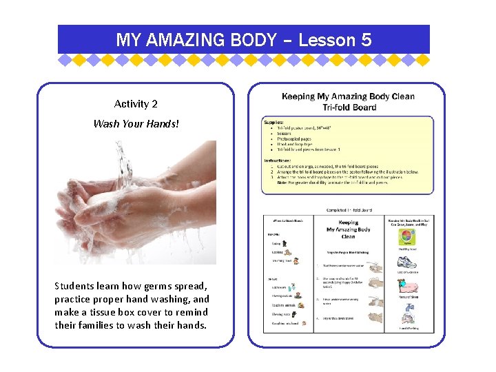 MY AMAZING BODY – Lesson 5 Activity 2 Wash Your Hands! Students learn how