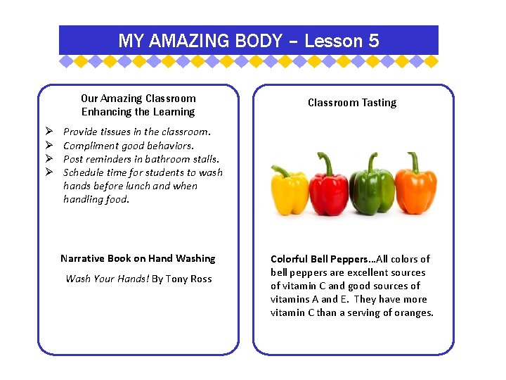 MY AMAZING BODY – Lesson 5 Our Amazing Classroom Enhancing the Learning Classroom Tasting