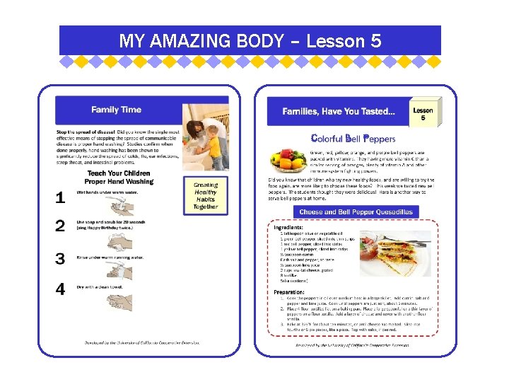 MY AMAZING BODY – Lesson 5 