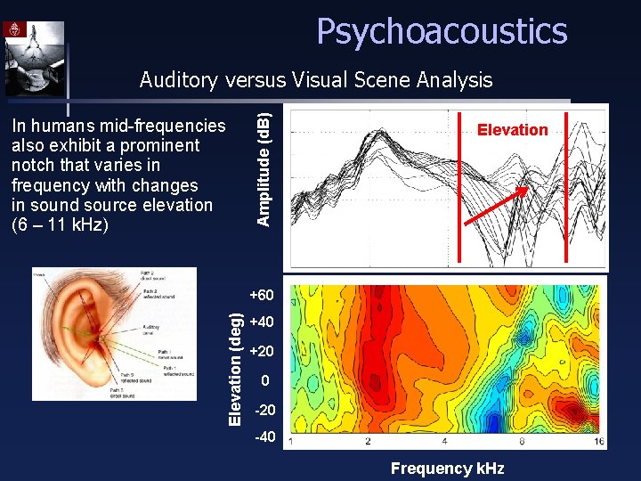Psychoacoustics In humans mid-frequencies also exhibit a prominent notch that varies in frequency with